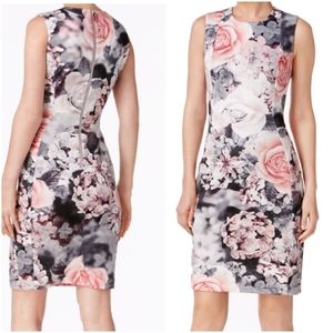 Calvin Klein 14 Floral Scuba Sheath dress roses